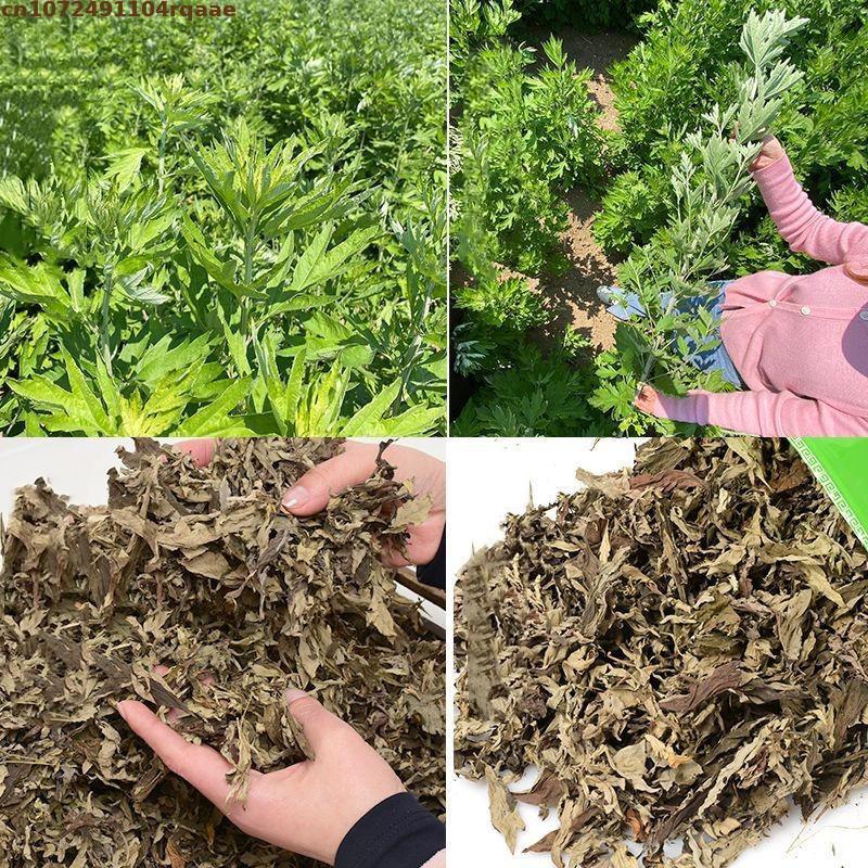 100% Natural Dried Ay Tsao Lea - Chamomile Tea recension och pris